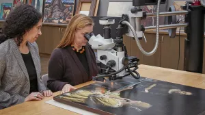 Two conservators seated at a table in a lab