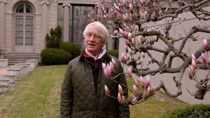 video still of man standing beside Magnolia tree