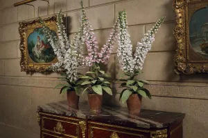 bone china foxgloves in gallery 