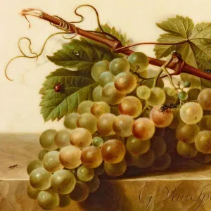 oil painting of grapes on vine with insects