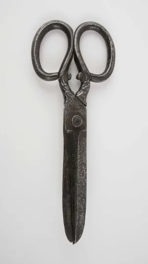 photo of shears or scissors