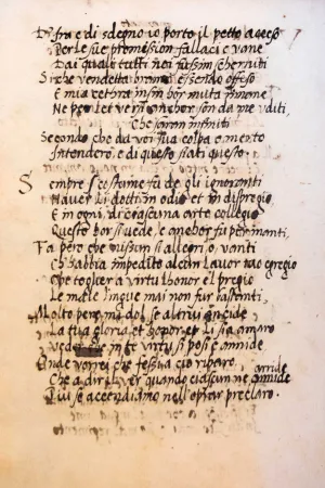 sheet of paper 