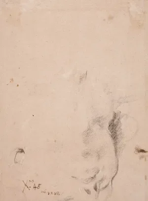 drawing of female neck and head