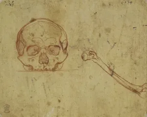 Drawing of a skull and bone