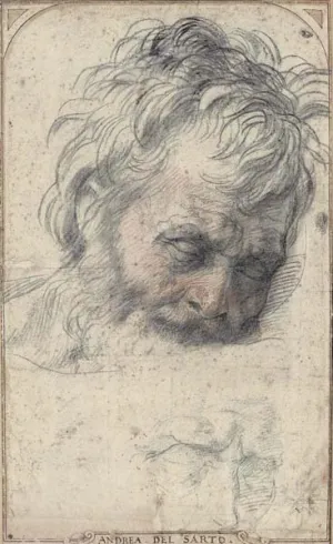Drawing of the head of an old man looking down