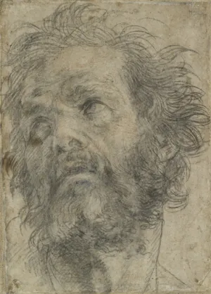 Drawing of the head of a bearded man looking up and to the left
