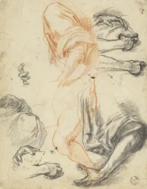 Drawing of arms, hands, and legs