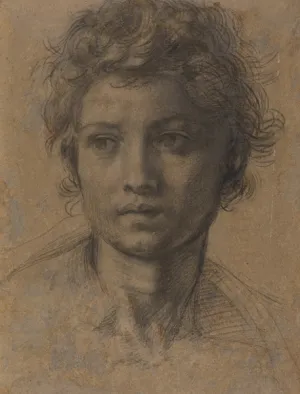 Drawing of a young man's face looking to the left