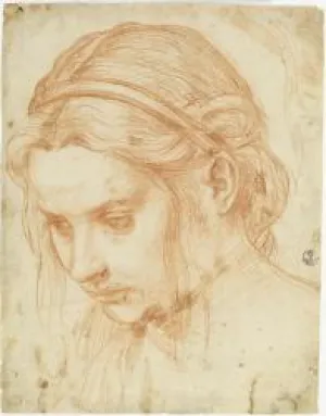 Drawing of the head of a young women 